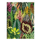 Troy Litten Houseplant Jungle Greeting Assortment Notecards - MAIA HOMES