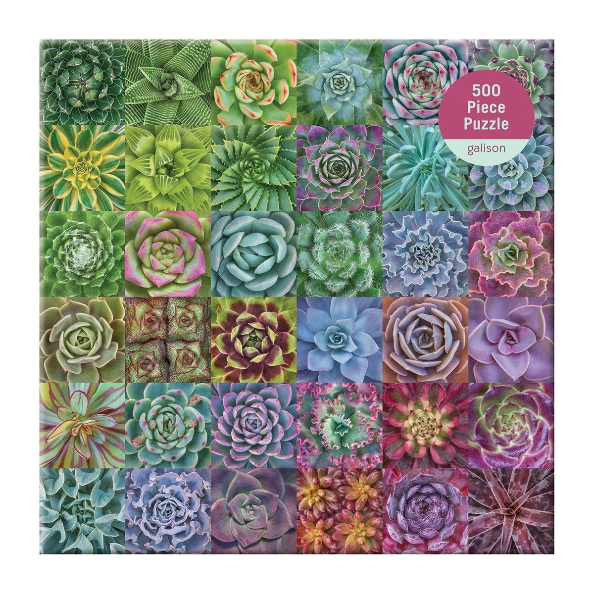 Troy Litten Succulent Spectrum 500 Piece Jigsaw Puzzle