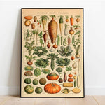 Vegetables Legumes Wall Art Poster