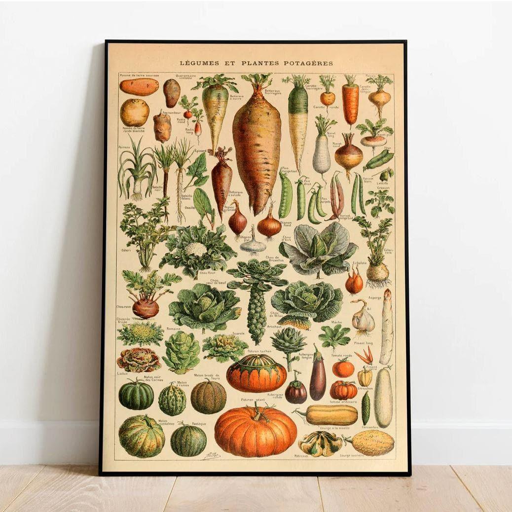 Vegetables Legumes Wall Art Poster