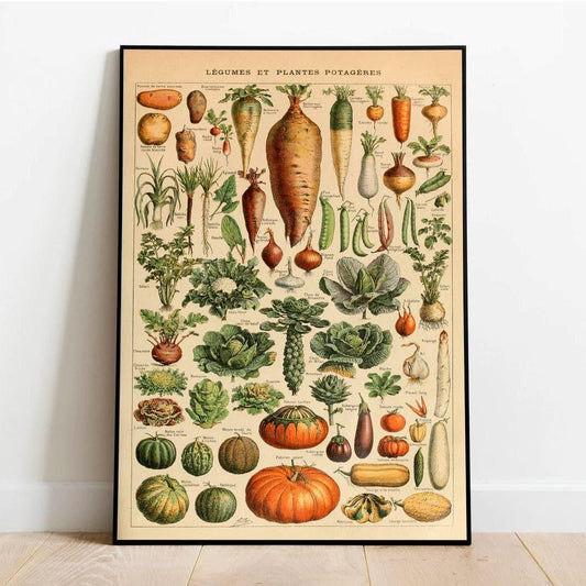 Vegetables Legumes Wall Art Poster - MAIA HOMES
