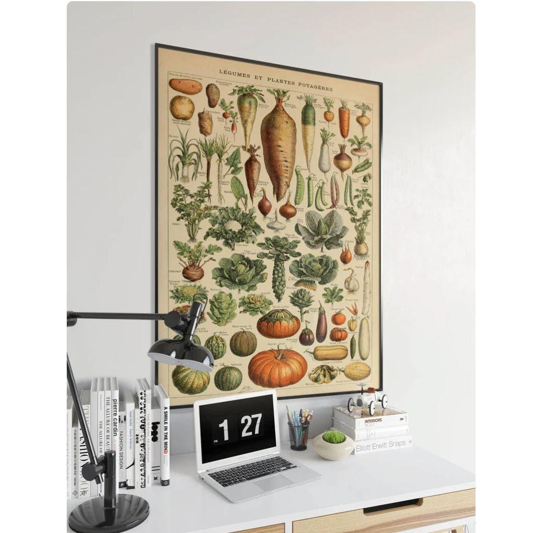 Vegetables Legumes Wall Art Poster