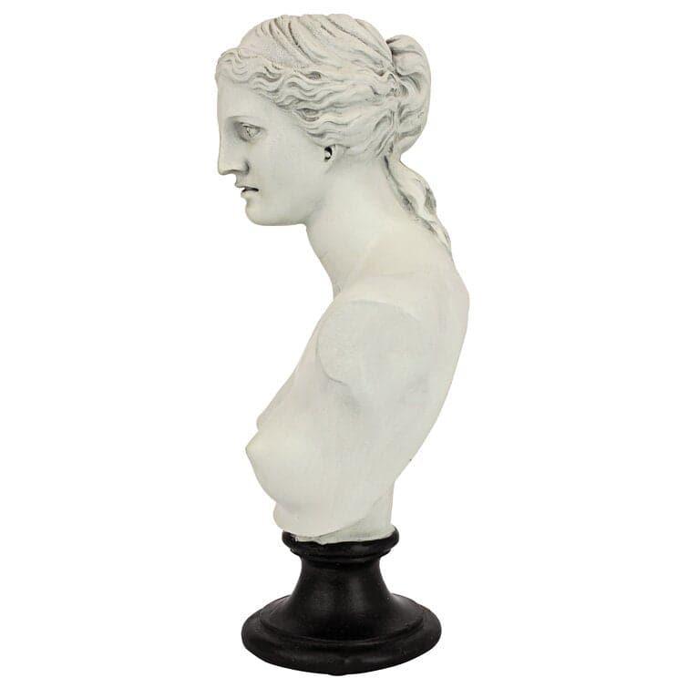 Venus de Milo Bust on Black Stand