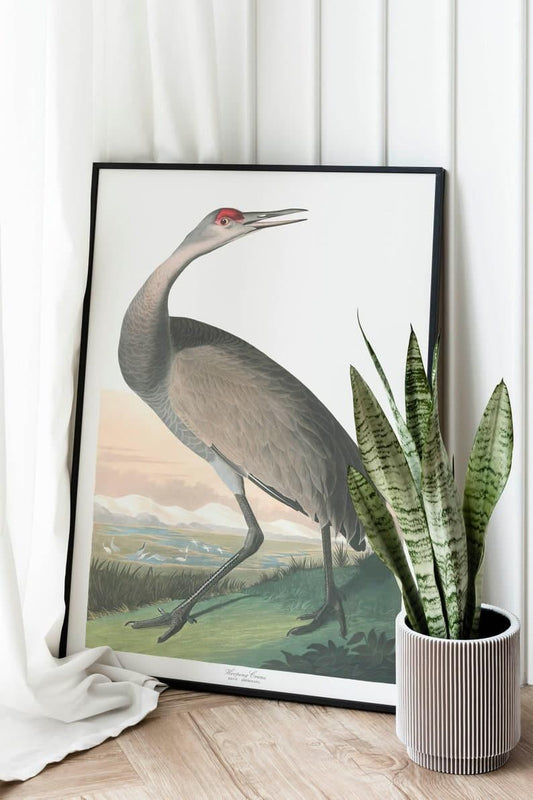Vintage Bird Art Prints| Bird Poster - MAIA HOMES