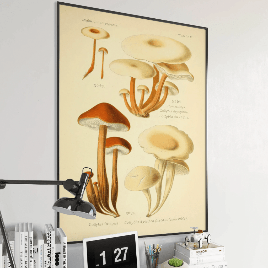 Vintage Botanical Mushroom Wall Poster Print - MAIA HOMES