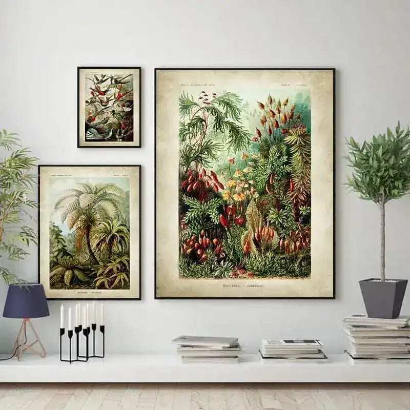 Vintage Ernst Haeckel Biology Botanical Wall Art