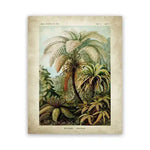 Vintage Ernst Haeckel Biology Botanical Wall Art Palm Trees