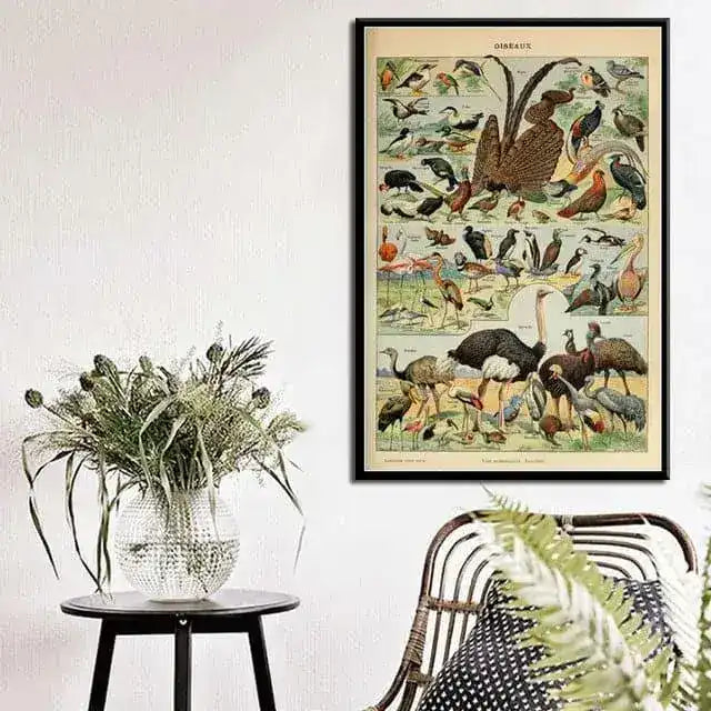 Vintage Exotic Safari Bird Chart Wall Poster Print