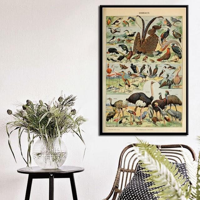 Vintage Exotic Safari Bird Chart Wall Poster Print - MAIA HOMES