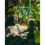 Vintage Inspired Orchid Porcelain Dinnerware