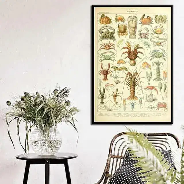 Vintage Ocean Crabs Chart Wall Poster Print Clear