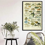 Vintage Ocean Life Wall Chart Poster