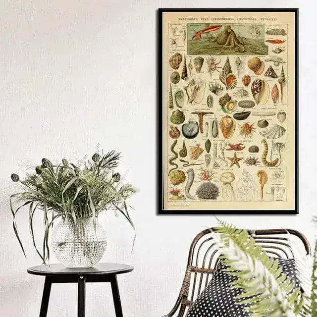 Vintage Ocean Sea Life Wall Chart Poster Print
