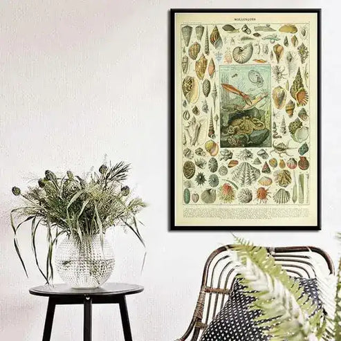 Vintage Ocean Sea Shell Life Wall Chart Poster Print | MAIA HOMES