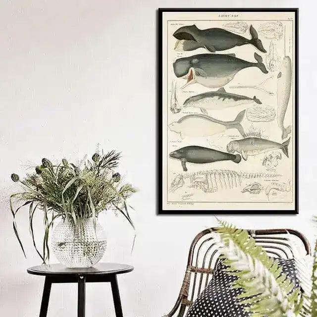 Vintage Ocean Whales Chart Wall Poster Print violet