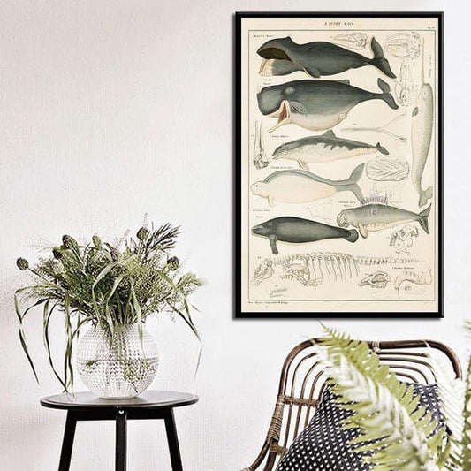 Vintage Ocean Whales Chart Wall Poster Print - MAIA HOMES