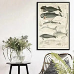Vintage Ocean Whales Wall Chart Poster Print