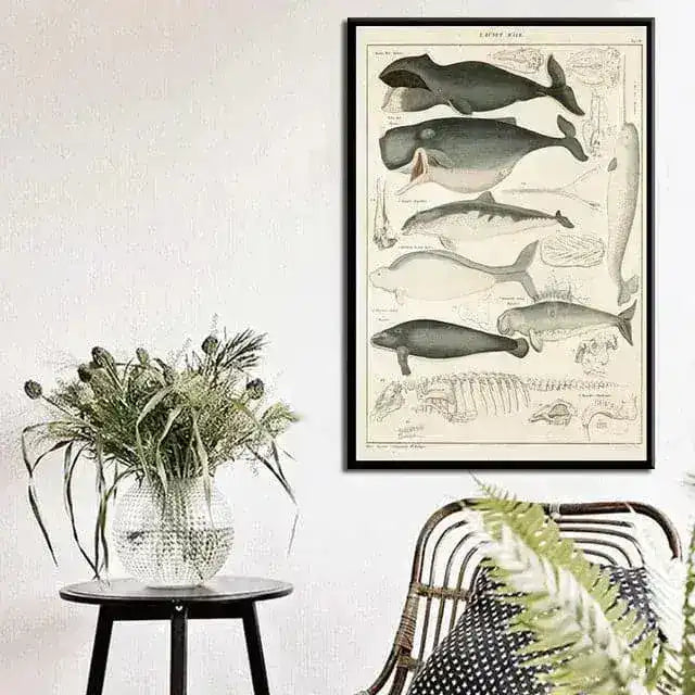 Vintage Ocean Whales Wall Chart Poster Print