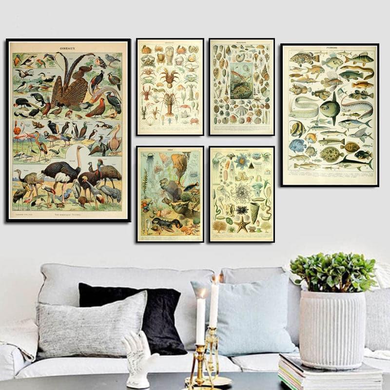 Vintage Ocean Whales Wall Chart Poster Print - MAIA HOMES
