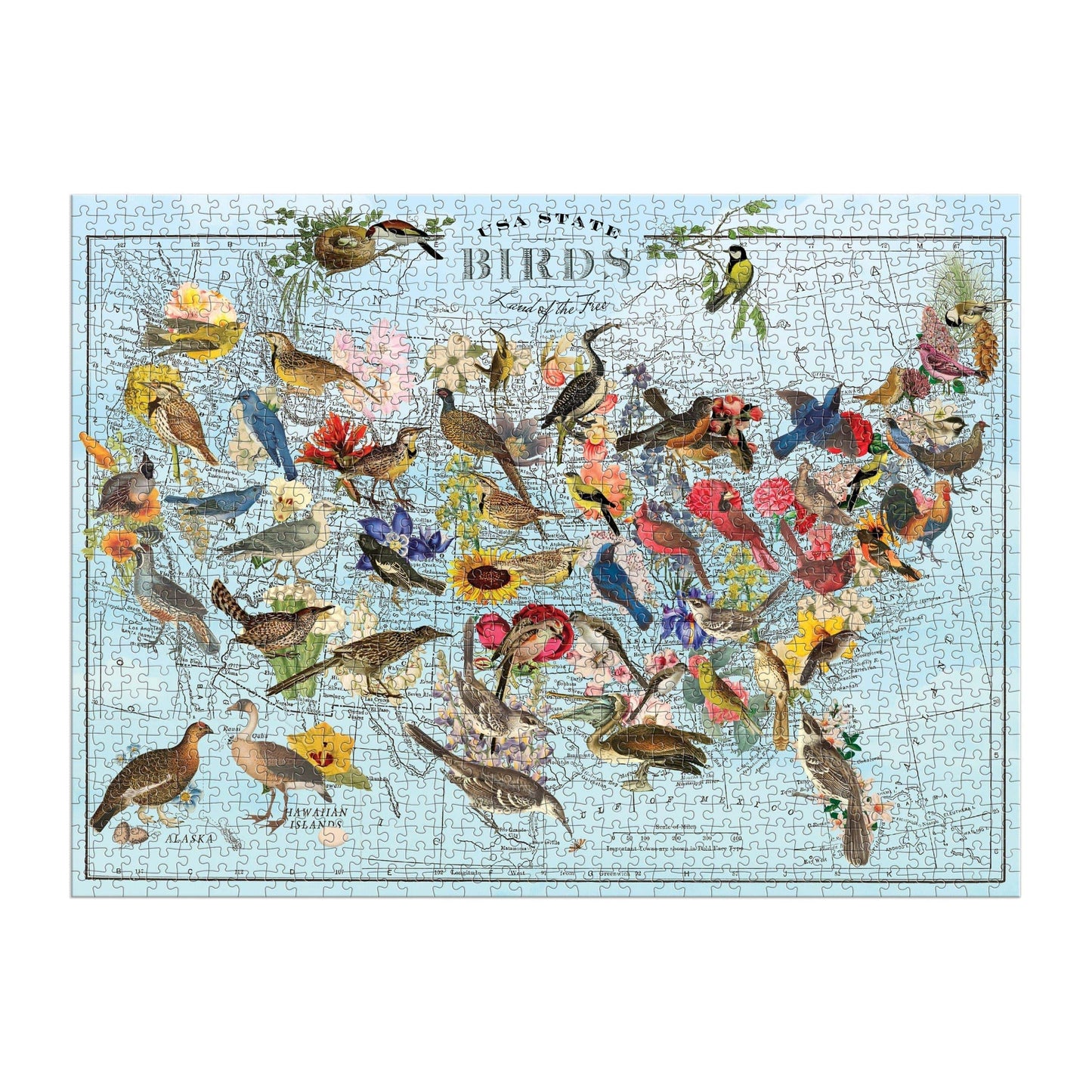 Wendy Gold State Birds 1000 Piece Puzzle - MAIA HOMES