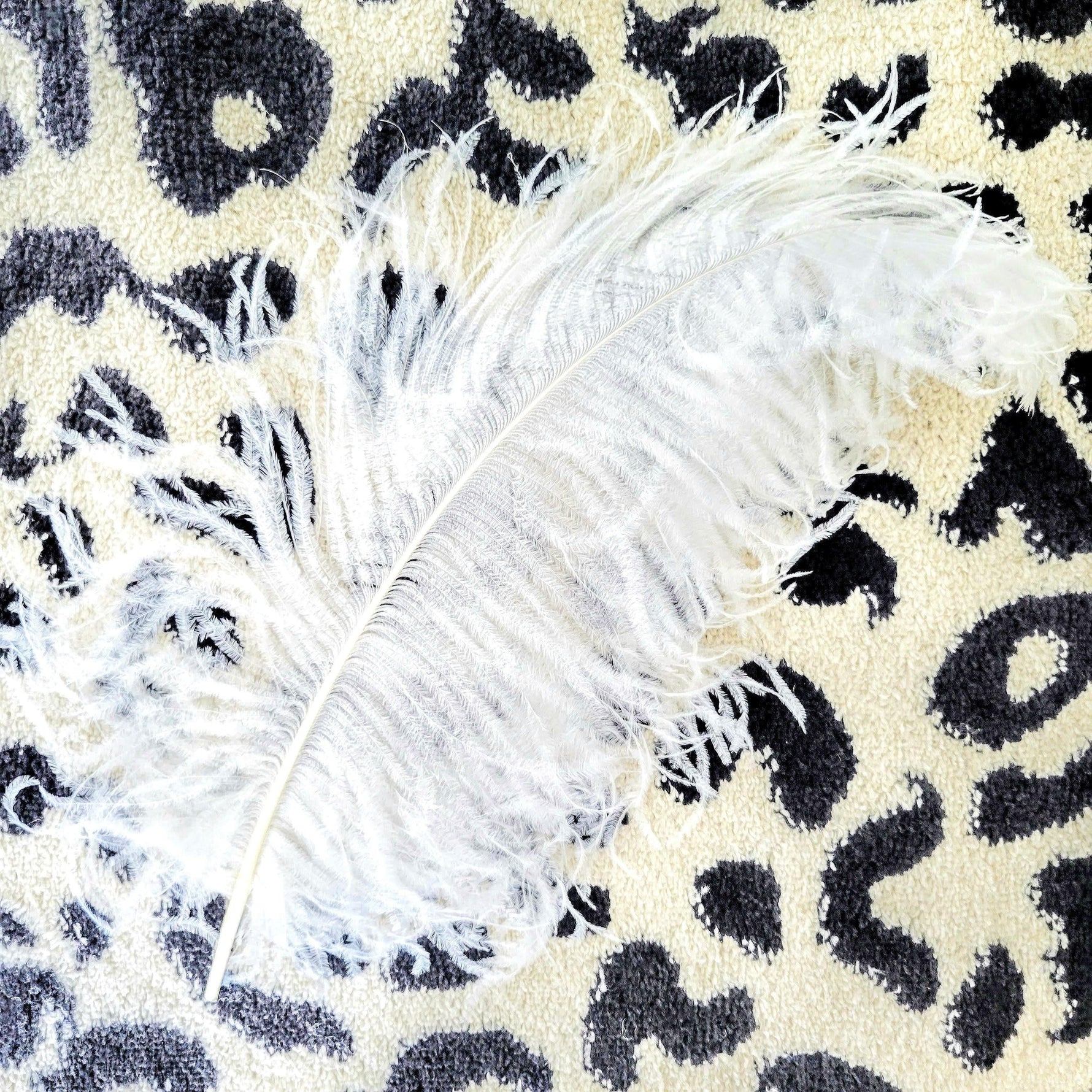 White Ostrich Feathers - 10 Stems