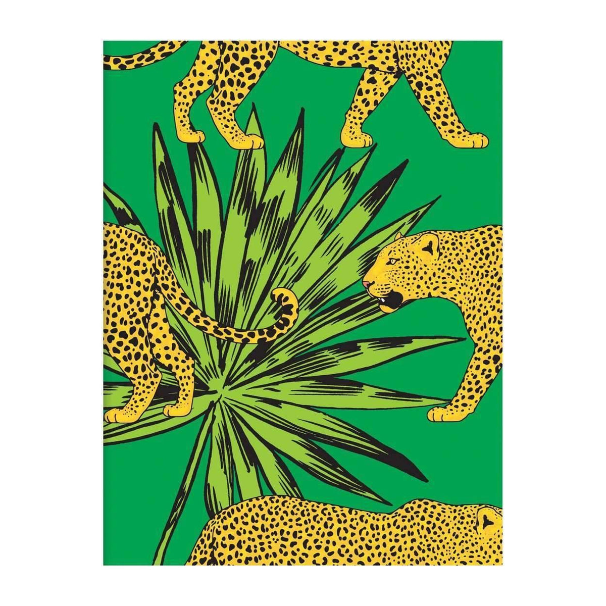 Wild Paradise DIY Greeting Card Folio