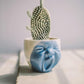 Yawning Face Porcelain Cactus Planter - MAIA HOMES