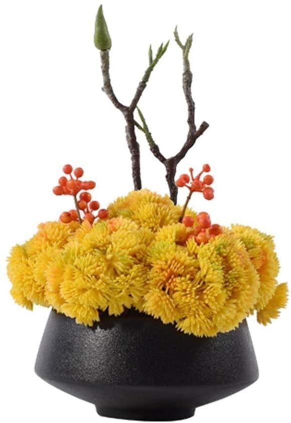 Yellow Sea Moss Flowers in Ceramic Pot