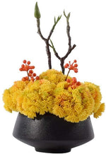 Yellow Sea Moss Flowers in Ceramic Pot